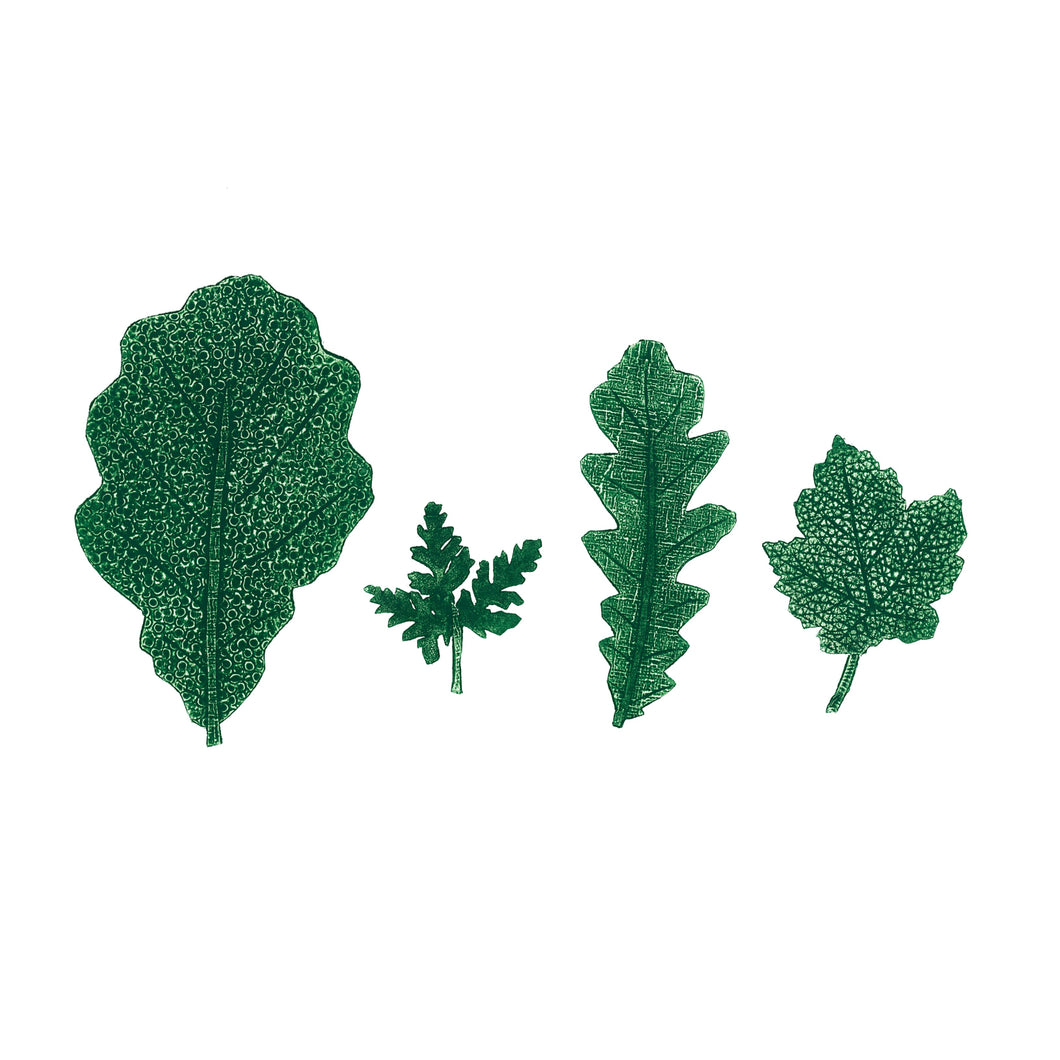 Wildshed limited edition print - leaves 