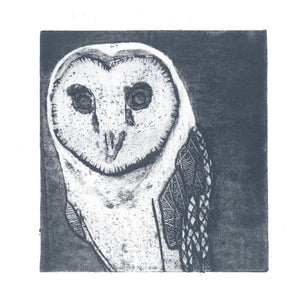 Wildshed limited edition print - owl